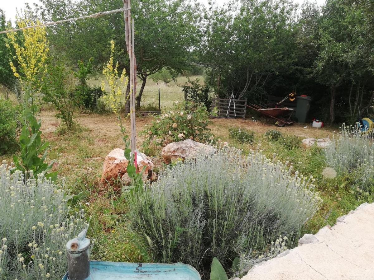 B&B Giovannarolla Green House Ostuni Exterior foto