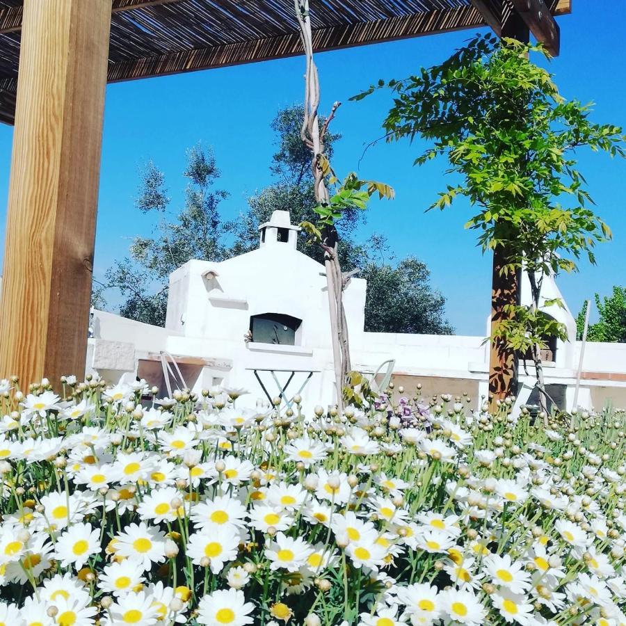 B&B Giovannarolla Green House Ostuni Exterior foto